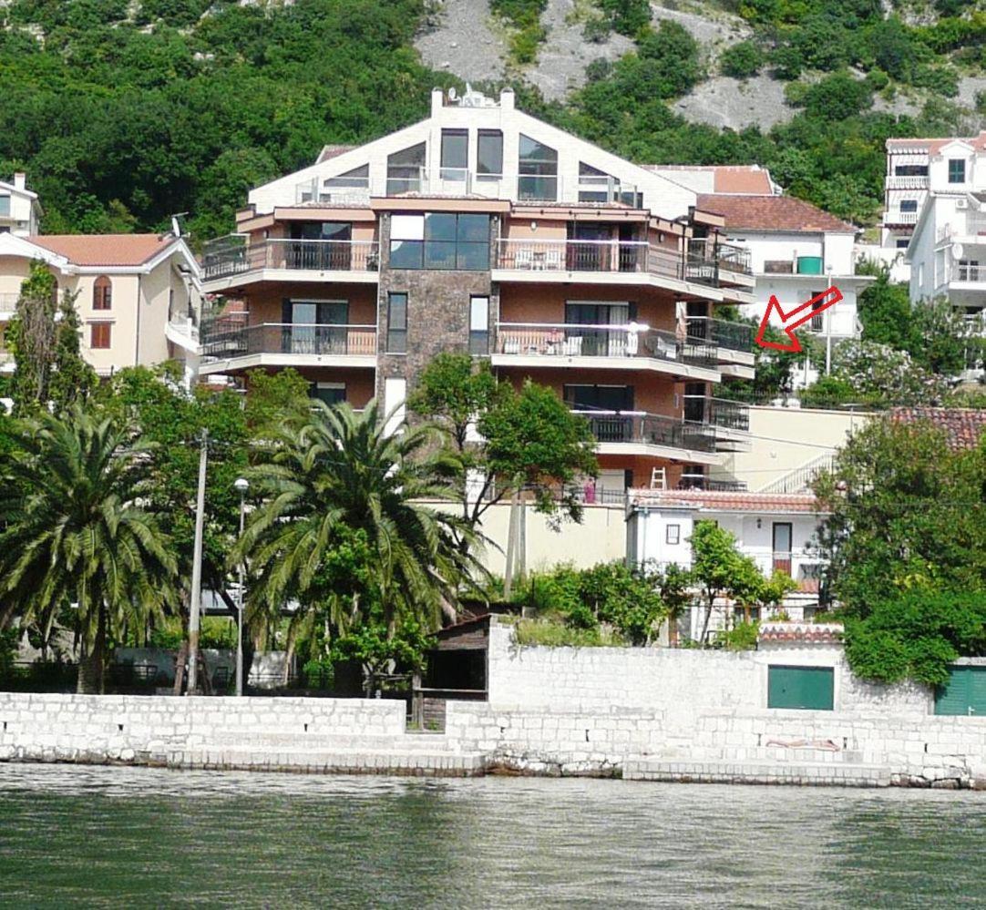 Apartments Coral Котор Екстер'єр фото